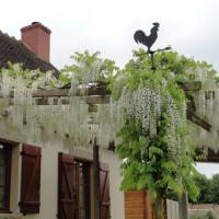 pergola bois perrot paysagiste